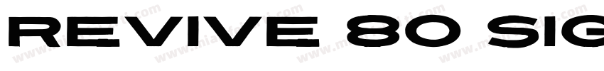 Revive 80 Signature字体转换